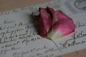Rose auf einem Brief