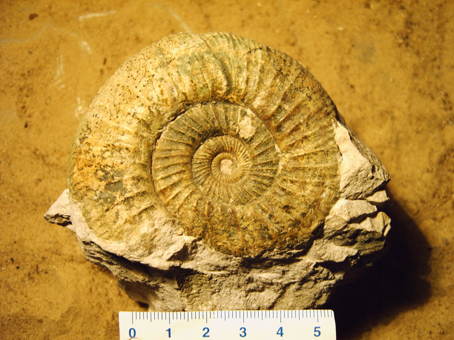 Steine erzählen @ Paul-Gerhardt-Gemeindezentrum